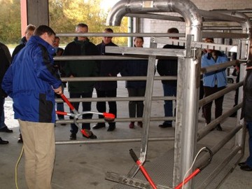 Tierschutzgerechte Tötung von Rindern im Seuchenfall